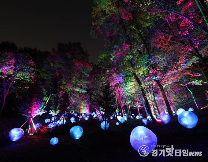 형형색색의 복사꽃 씨앗이 빛나는 도화씨 구간 전경