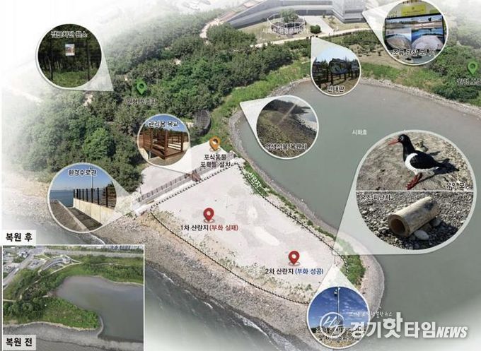 철새도래지 서식처 조성사업_철새서식지