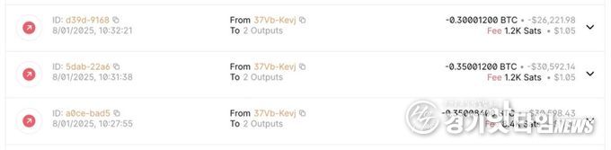 0.35 + 0.35 + 0.3 BTC 총 1비트코인을 출금해간 자료