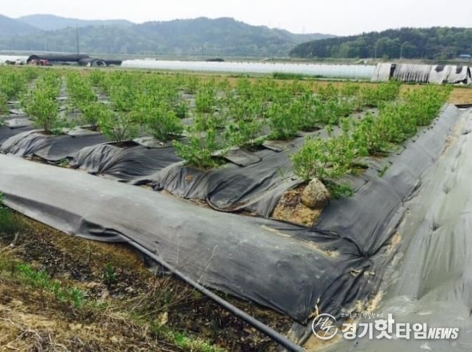 파주시, 2026년 환경친화형 농자재 지원사업 신청 시작