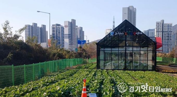 과천시 도시농업센터 모습