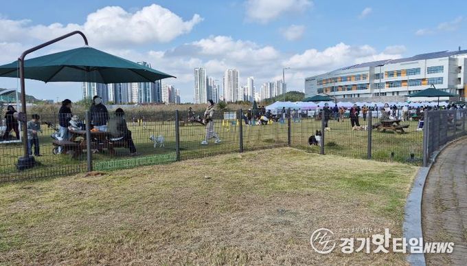 와스타디움 중앙광장 유휴부지에 조성된 반려견 놀이터에서 시민들이 반려견과 함께 시간을 보내고 있다. (사진=안산도시공사 제공)
