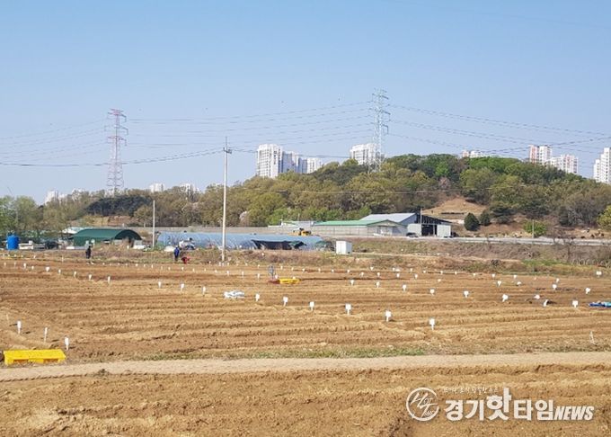 남양주시, ‘2026년 정약용 도시텃밭’분양…도심 속 치유 공간 마련