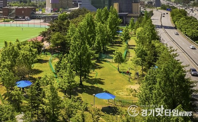 현재 운영 중인 수지구 용인아르피아 파크골프장 전경