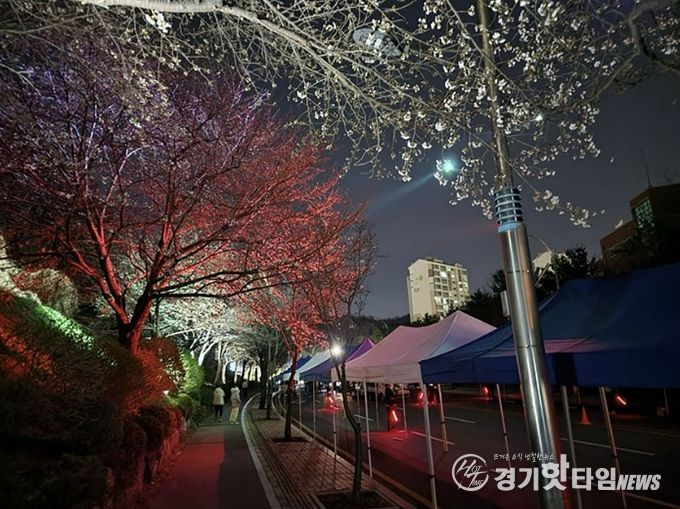 지난해 도촌 봄맞이길 벚꽃축제 때