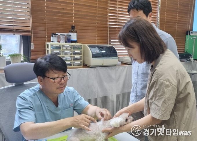 고양시, 2026 상반기 광견병 예방백신 무료 접종 실시