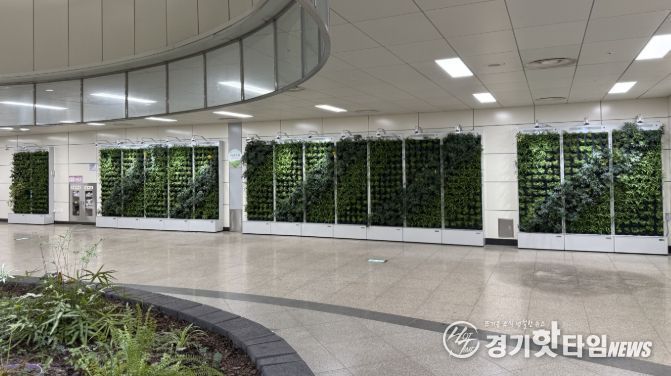 남양주시, 별내별가람역 실내정원 정비…공기정화 식물 900여 개 식재